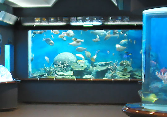 渋川マリン水族館