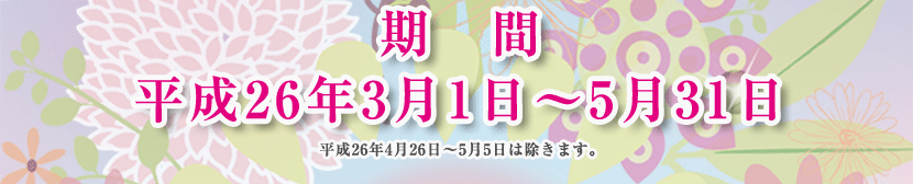  26N31`531
